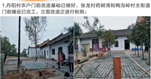 十月份聯村黨委林業(yè)種殖工作紀實 創(chuàng)新模式與生態(tài)富民雙贏